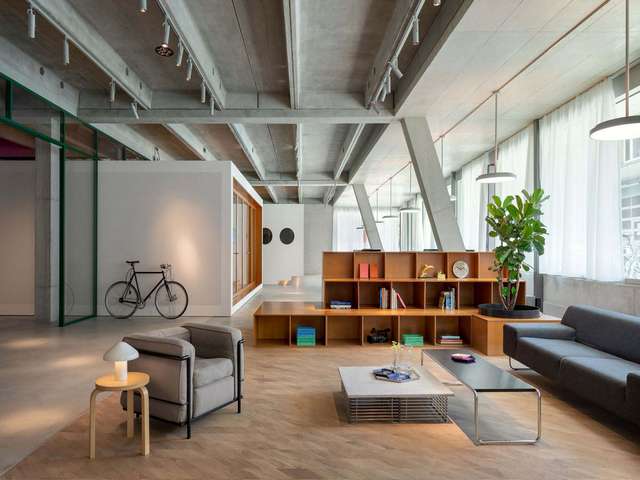 海南金钗石斛怎么样